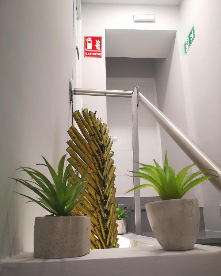 Eres Emerita "Apartamentos & Suites" Mérida Luaran gambar